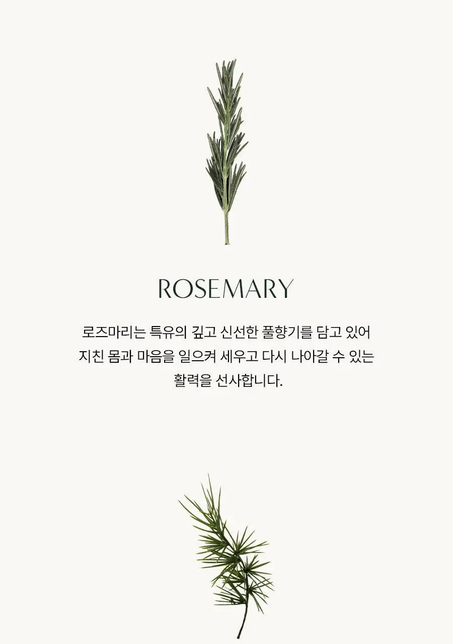 [NEW/대용량] 아로마티카 바디워시 500ml 2종 중 택 1 (서렌/로즈마리 올인원) 상세페이지 14